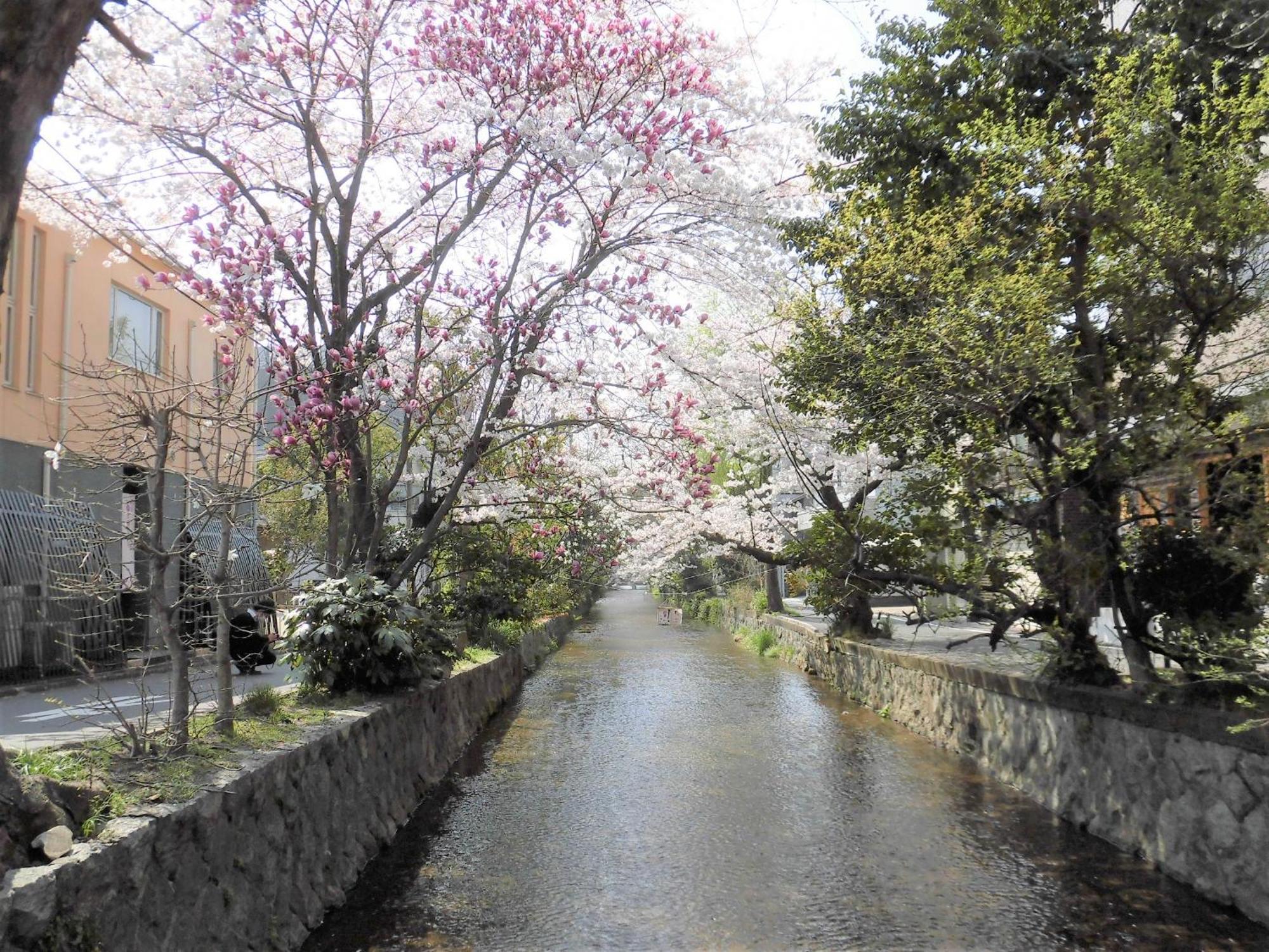 ホテルイルヴェルデ　京都 3*
